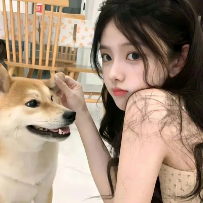 你好安妮